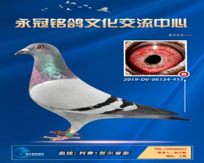 哈格栋-贝克-施维克