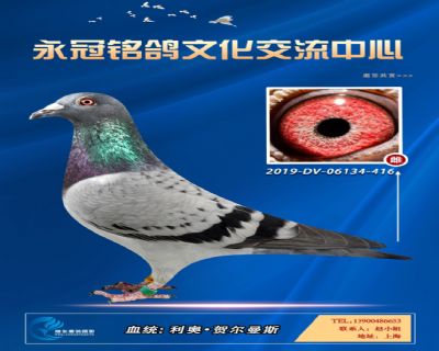 哈格栋-贝克-施维克