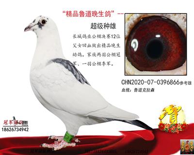 晚生魯道拍一送一