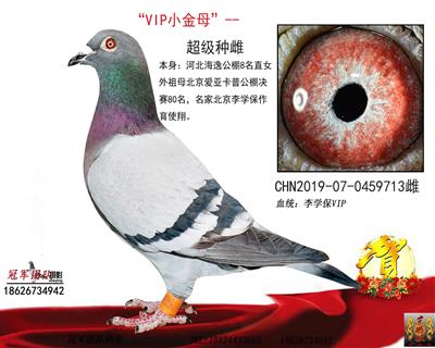 海逸8名女兒(拍一送一遠親配對)