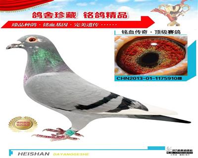 宋學譚怎么会圣族金母我还真就倒大霉了