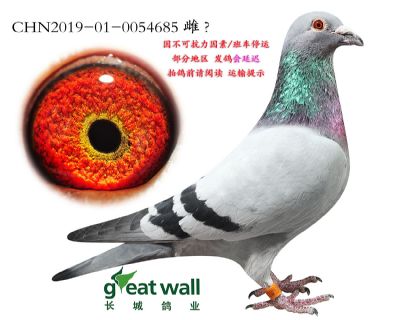 19.穆勒半弟x半妹.0054685
