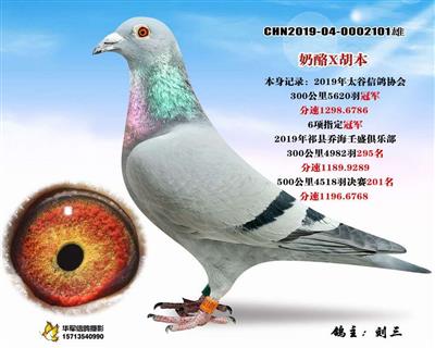 【超级配对之子】300公里冠军