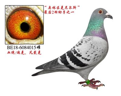 凡戴克原舍