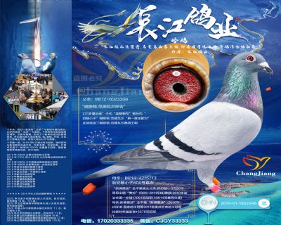 600號外孫女-“噶斯頓.范德瓦爾(奶酪小子近親回血)