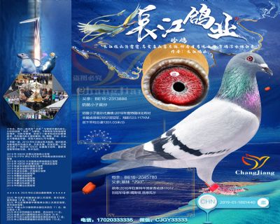 奶酪小子曾孫-“噶斯頓.范德瓦爾(奶酪小子近親回血)