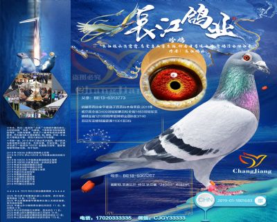 奶酪小子曾外孫-“噶斯頓.范德瓦爾(奶酪小子近親回血)