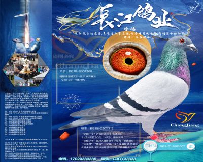 新奶酪小子外孫-“噶斯頓.范德瓦爾(奶酪小子近親回血)