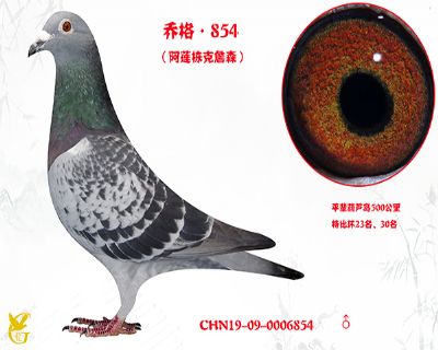 乔格.854(阿莲栋克詹森)