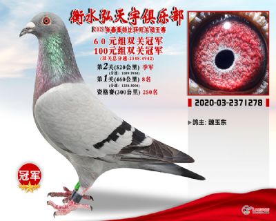 弘天宇1