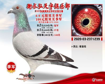 弘天宇3