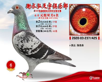 弘天宇6