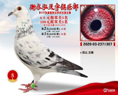 弘天宇5