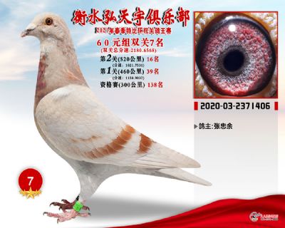 弘天宇7