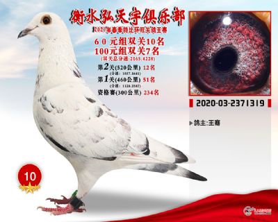 弘天宇10