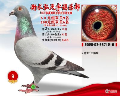 弘天宇9