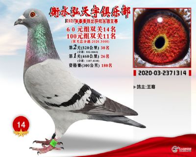 弘天宇14