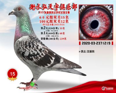 弘天宇15