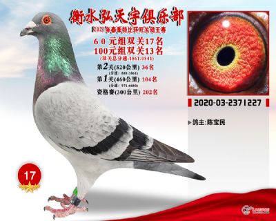 弘天宇17