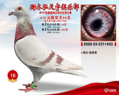 弘天宇16