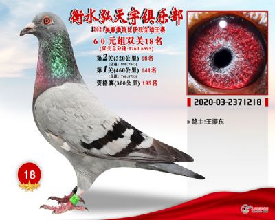 弘天宇18