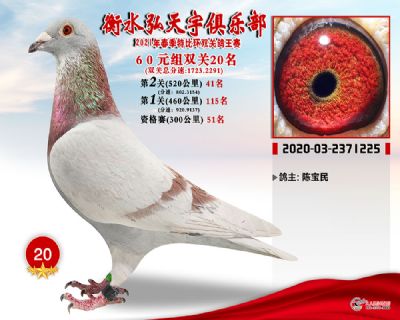 弘天宇20