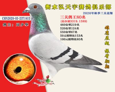 弘天宇俱乐部80