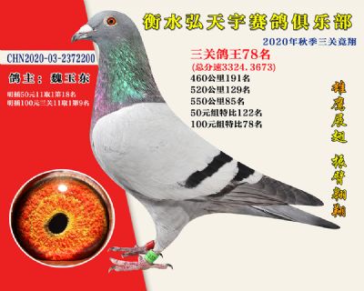 弘天宇俱乐部78