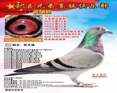 四关综合冠军