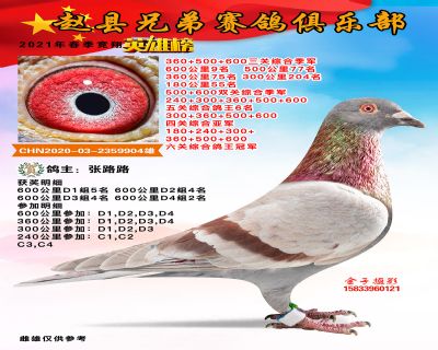 六关综合冠军