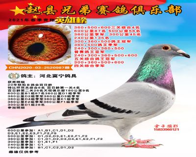 五关综合冠军