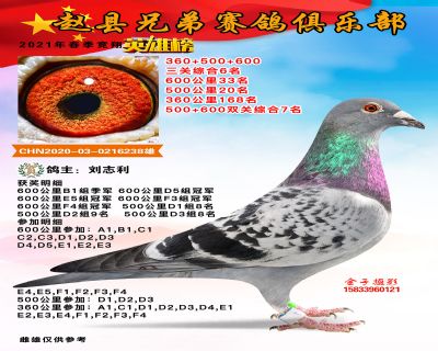 三关综合六名