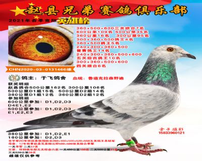 三关综合七名