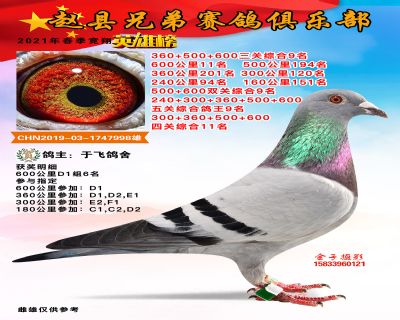 五关综合九名