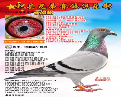 五关综合季军