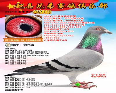 双关综合冠军