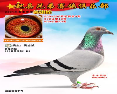 双关综合五名