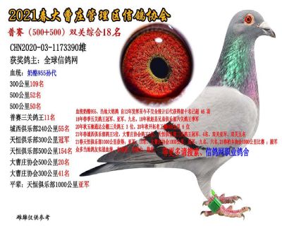 双关综合18名-