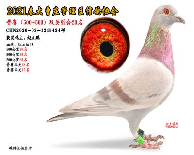 双关综合20名-
