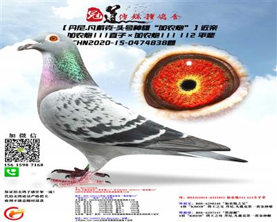 “加农炮111直子”ד加农炮111