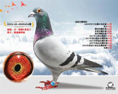 中国天一电脑