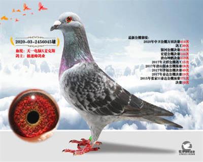 天一电脑