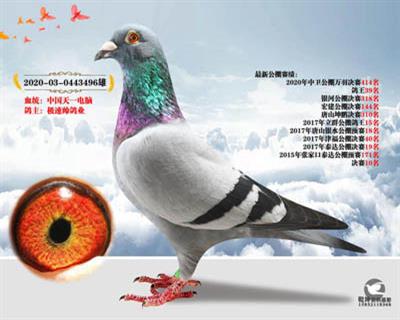 中国天一电脑