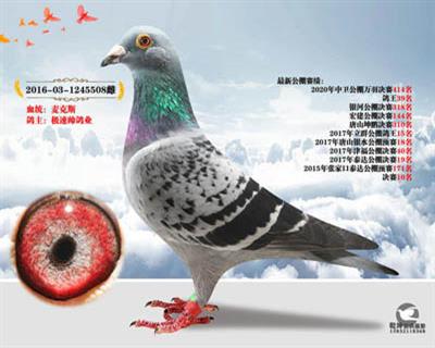 麦克斯
