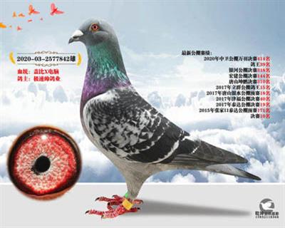 天一电脑