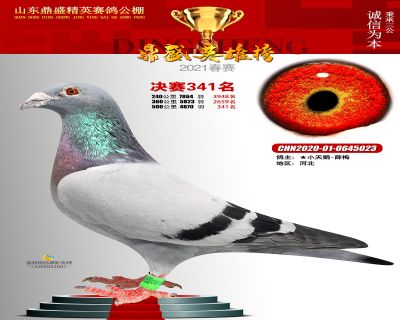 山东鼎盛决赛341名