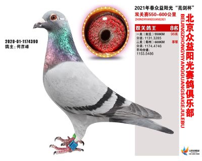 众益阳光8名