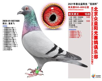 众益阳光16名