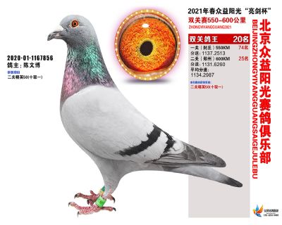 众益阳光20名
