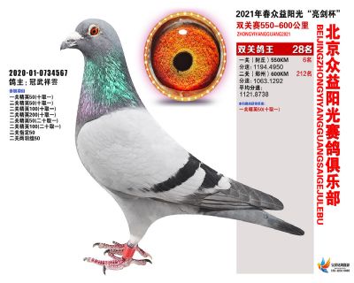 众益阳光28名